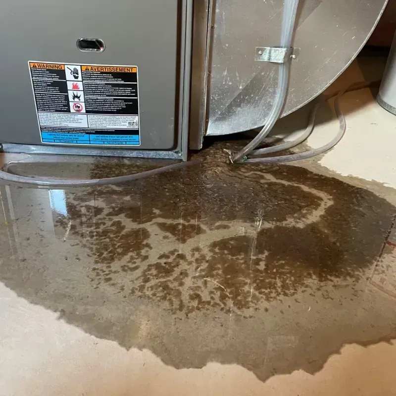 Appliance Leak Cleanup in Robbins, IL